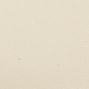 【アウトレット】コットン×無地(クリーム)×ビエラの商品画像