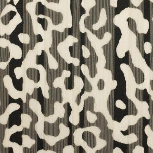 【アウトレット】ポリエステル×ペイント(ブラック...の商品画像