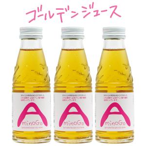 健康飲料　AminoGO（アミノジーオー）3本セット　スッキリやさしい甘さの発芽玄米ジュース｜fabala