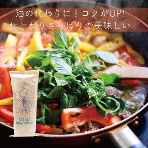 マヨネーズ ファバラマヨネーズ 酸味のバランス...の詳細画像2
