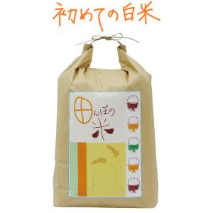 田んぼの米 10kg 昔懐かしいお米の味