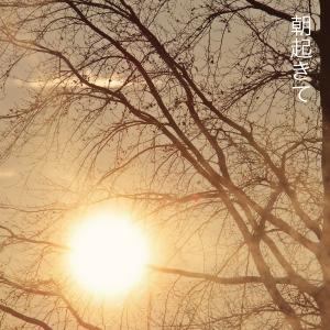 ヒーリング アーティスト名 MANA/CD やさしさの詳細画像1