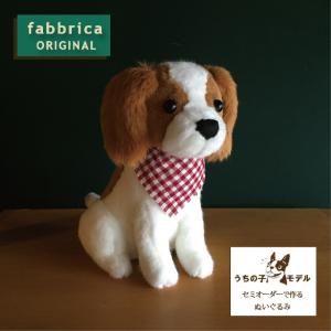 シュナぬい”オーダーメイドで作るミニチュアシュナウザーぬいぐるみ