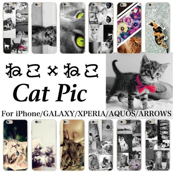 猫 cat にゃー 写真 フォト pic kitty ハード iPhone17 Pro 17Pro ...