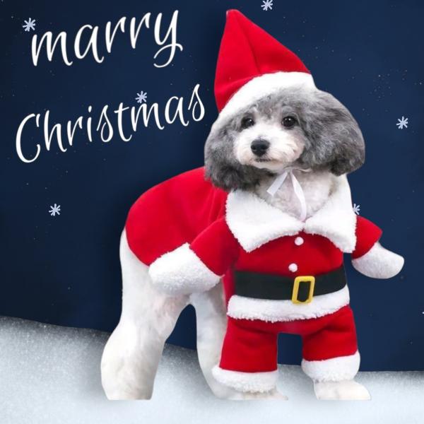 犬服 クリスマス クリスマス犬服 ドッグウエア 小型犬 ペット服 サンタコスプレ 小型犬 中型犬 ペ...