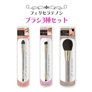 SHOBIDO メイクブラシ アイメイク ブラシセット 5本入 ミラー付き