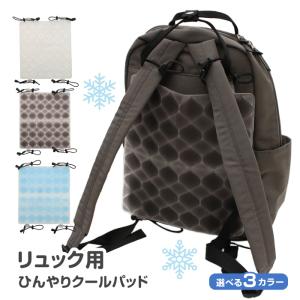 クールパッド アイスパッド ひんやり 気持ちい 涼しい 夏 暑い日 背中 蒸れ 汗 対策 熱中症 選べる 個数 カラー 便利 挟む 【☆60】/ひんやりクールパッド