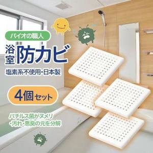 送料無料】 PAAG（パアグ）【P05F07B】 スーパー風呂バンス1000[アクア