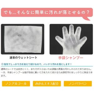 ドライシャンプー 手袋タイプ 10枚 水なし ...の詳細画像3