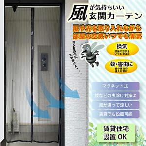 網戸カーテン 玄関用 マグネット式 虫よけネット 蚊 害虫対策 侵入対策 玄関 網戸 通気性 取付簡単 節電 勝手口 レース 【☆60】/風が気持ちいい玄関カーテン
