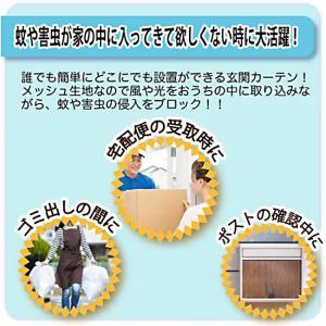 網戸カーテン 玄関用 マグネット式 虫よけネッ...の詳細画像4