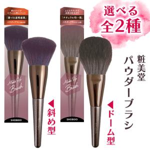 SHOBIDO 数量限定＜ブラシキャップ付き＞ Wアイブロウブラシ