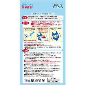 水着 ゼッケン パイオニア スポーツ ラージ ...の詳細画像4