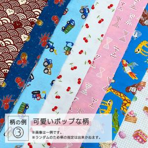 はぎれ詰合せ はぎれ 詰合せ 布 生地 楽しい...の詳細画像5