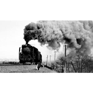 鉄道伝説ブルーレイ第2巻 D51 東海道新幹線...の詳細画像1