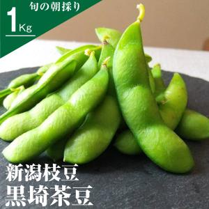 7月下旬頃出荷予定 大人気！新潟のブランド枝豆 黒埼茶豆 1kg 朝採り黒崎茶豆 新潟産 枝豆 えだまめ｜facesign