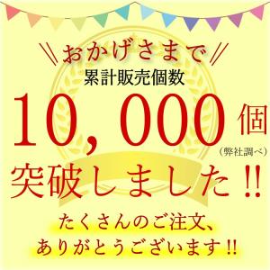 腰サポーター 腰痛ベルト 腰ベルト 腰痛対策 ...の詳細画像1
