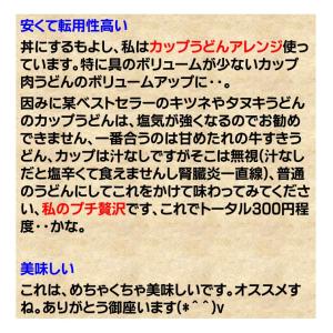 焼肉丼 冷凍 5種果実の 旨だれ 牛 カルビ ...の詳細画像3