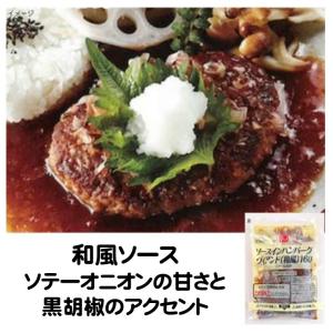 ハンバーグ 冷凍 ソース イン ヴィアンド 和風 160g 固形量 120g 取り寄せ 冷凍ハンバーグ 業務用 日東ベスト