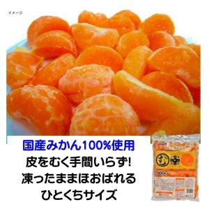 冷凍食品 八ちゃん堂 ひとくちむかん 500g 冷凍みかん