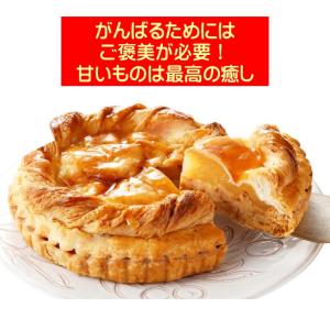 アップルパイ 冷凍 ホール 取り寄せ 手織り ...の詳細画像2