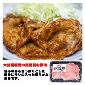 豚肉 冷凍 豚ロース 林さんちのおいしい豚ローススライス 300g｜fadie-reitou