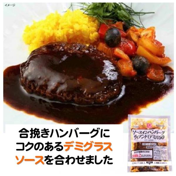 ハンバーグ 冷凍 JG ソースインハンバーグ ヴィアンド デミ 150g デミグラスソース 日東ベス...