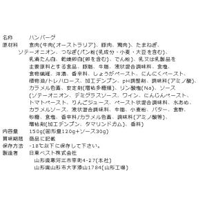 ハンバーグ 冷凍 JG ソースインハンバーグ ...の詳細画像2