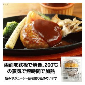 冷凍食品 鉄板焼あらびきハンバーグ 130g シンプルな濃すぎない味付け