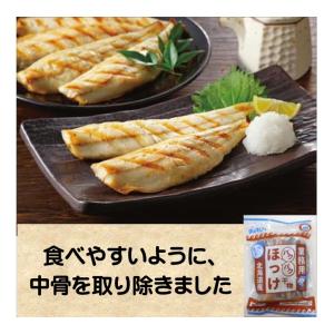 冷凍食品 ぎょれん パクパク ほっけ 500g 15枚 北海道産