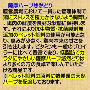 とりレバー 鶏 レバー 煮込み 冷凍 薩摩 ハ...の詳細画像2