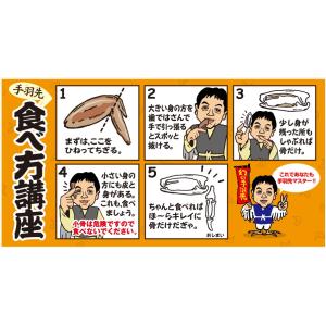手羽先 冷凍 世界の山ちゃん 幻の手羽先 13...の詳細画像4