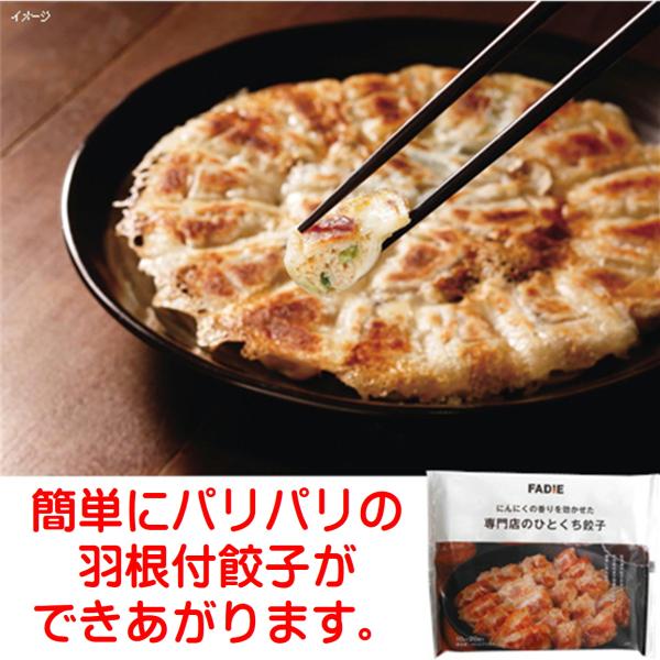 ぎょうざ 餃子 一口 冷凍 取り寄せ 専門店の ひとくち 餃子 10g×20コ入 冷凍食品 ファディ