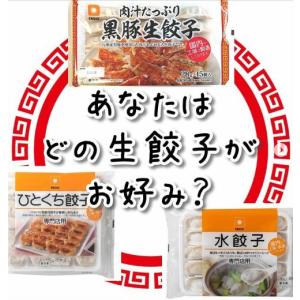 ぎょうざ ギョウザ 冷凍 水餃子 専門店用 3...の詳細画像2