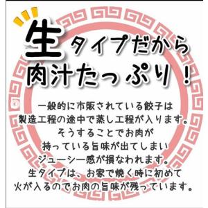 ぎょうざ ギョウザ 冷凍 水餃子 専門店用 3...の詳細画像3
