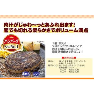 ハンバーグ 冷凍 ハンバーグ ヴィアンド N1...の詳細画像2