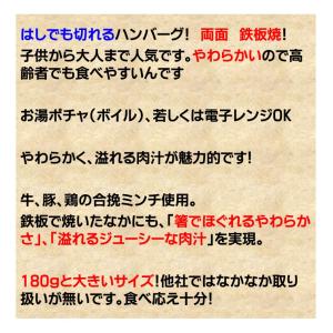 ハンバーグ 冷凍 ハンバーグ ヴィアンド N1...の詳細画像4
