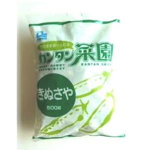 絹さや 冷凍 カンタン菜園 きぬさや 500g 業務用 自然解凍 流水解凍 冷凍食品 ノースイ