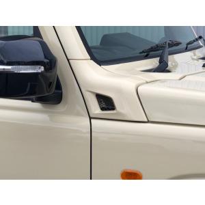 ジムニー JB64W JB74W カウリングサイドパネル　タイプR  ファッドスター