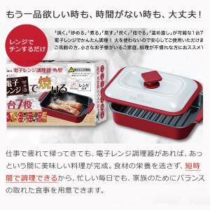 電子レンジ 魚焼き器 調理器 焼き魚 調理器 ...の詳細画像3