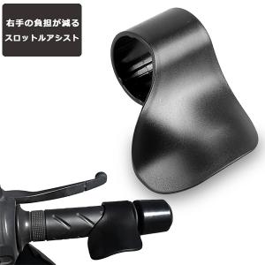 POSH Faith ポッシュ フェイス EARL'S用バンジョーボルトP-1.00