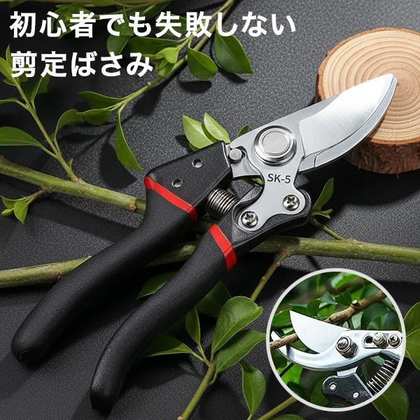 剪定ばさみ ハサミ 枝切りバサミ 剪定はさみ シルバー 植木ばさみ 握りやすい 剪定バサミ 剪定鋏 ...