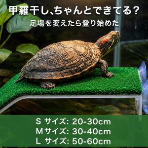 浮島 水槽 水槽用 亀 カメ 金魚 熱帯魚 爬虫類 ペット 吸盤 日光浴 日向ぼっこ 休憩 トカゲ カメレオン 島 芝 人工芝 芝生 シェルター 隠れ家 アクアリウム 陸地