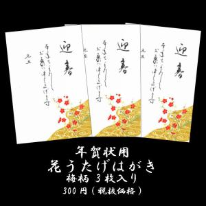 年賀 はがき 和紙 年賀状 葉書 和風 ハガキ 冬 イラスト 無料 御礼状 挨拶状【花うたげ FPS...