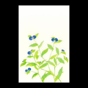 F A Greetings 花きららはがき はがき Yahoo ショッピング