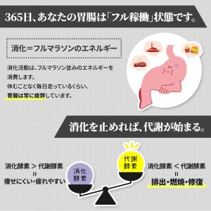2本セット!ファスティング 酵素ドリンク リム...の詳細画像2