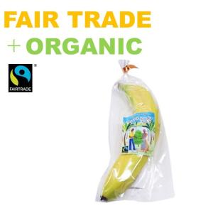 バナナエレファント Amazon | スノーバナナ（エレファントバナナ）の種(10粒) | 果物