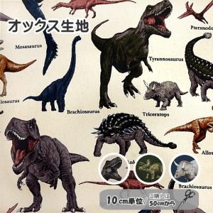 10cm単位 生地 オックス生地 ツイル生地 恐竜図鑑 恐竜大行進 海の恐竜 通園通学 入園入学 恐竜 ダイナソー 綿100% 男の子 こども かっこいい