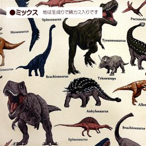 10cm単位 生地 オックス生地 ツイル生地 ...の詳細画像2