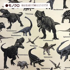 10cm単位 生地 オックス生地 ツイル生地 ...の詳細画像5